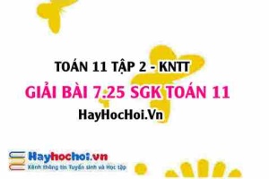 Bài 7.25 SGK Toán 11 Tập 2 Kết nối tri thức